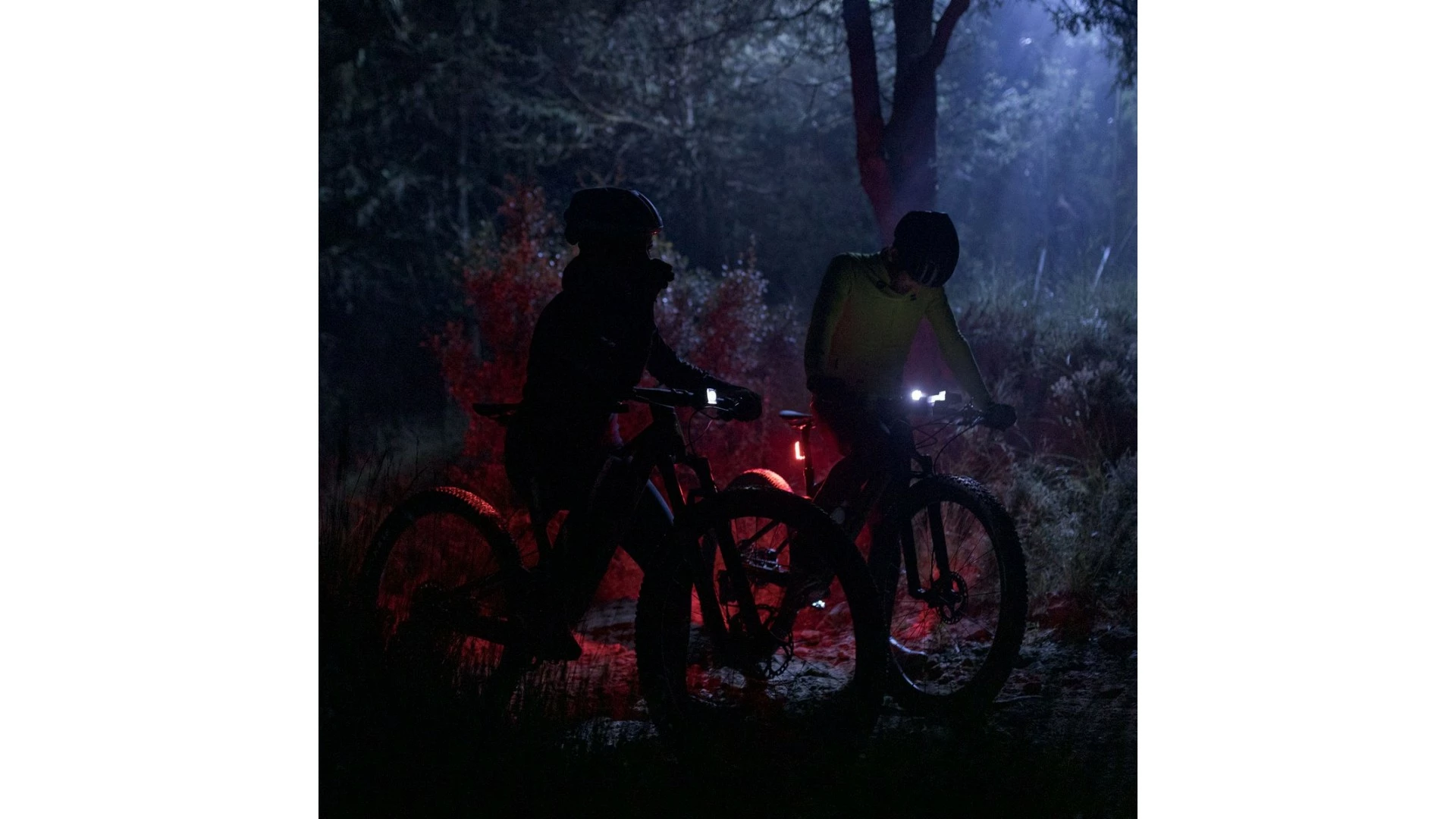 Radtrikot Langarm Cobble Gobik Mann 2022 Citronell 6 Radtrikot Langarm Cobble Gobik Mann 2022 Citronell – Bild 4