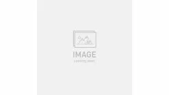 Spectre SL Air Kurze Trikots Frau Specialized Schwarz-Rot